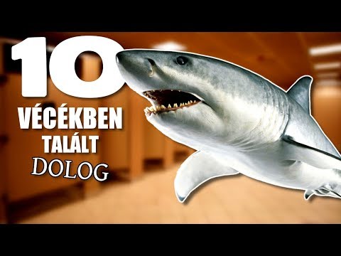 Mérgező hol vásárolhat Hogyan lehet férgeket kiszabadítani egy embertől