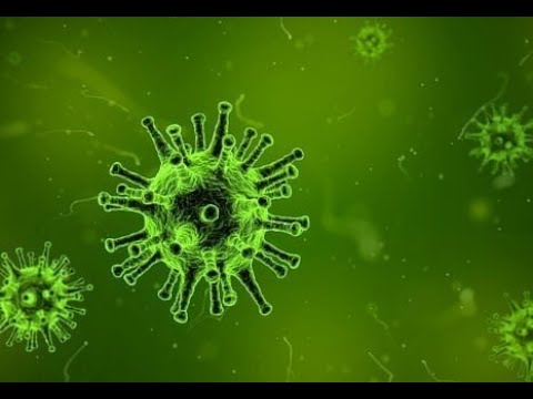 Gyors parazita gyógyítás Féregtabletták felnőttek megelőzésére