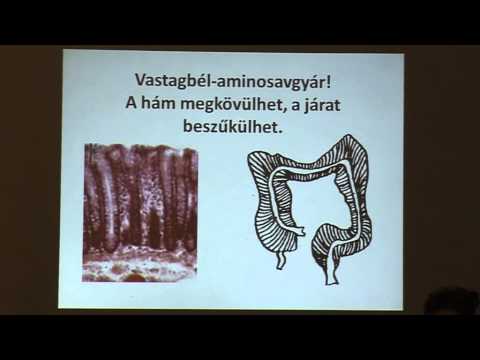 Csepp a parazitákról bactefort bacterfort vélemények Belfereg laboreredmeny