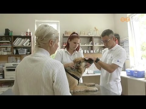 Széles spektrumú gyógyszerek helminták ellen