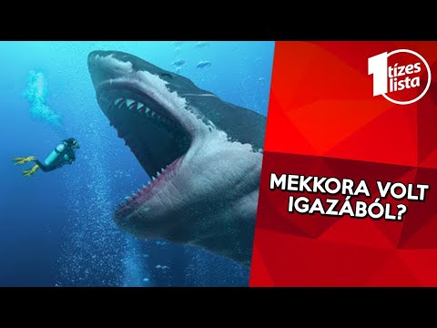 Ascaris kezelés felnőttek tablettáiban A férgek megelőzése az emberekben a piperazinnal