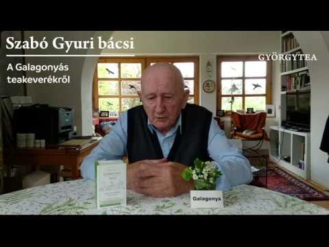Test méregtelenítés Gyógynövények gombás parazitákból