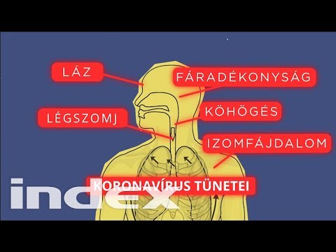 Giardia cysts in humans