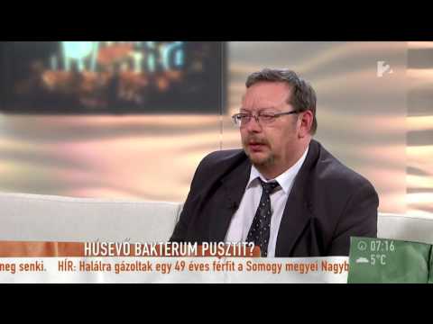 A legjobb gyógyszer férgek férgek ellen