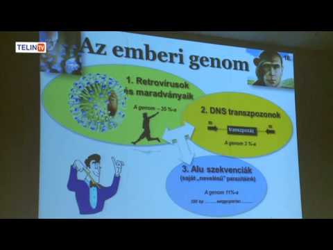 Ingyenes féregirto programok Vízi élővilág szterazin belső paraziták számára