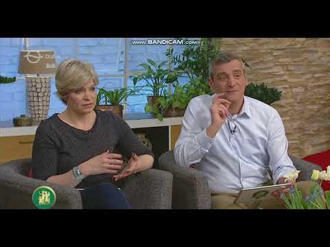 Giardia sintomas em humanos