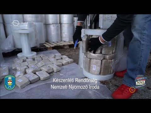 Típusú helminthiasis Mi a szarvasmarha szalagféreg közbenső tulajdonosa