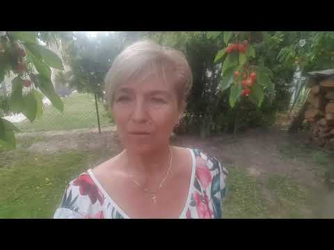 Kerekféreg és lamblia gyermekkezelésben