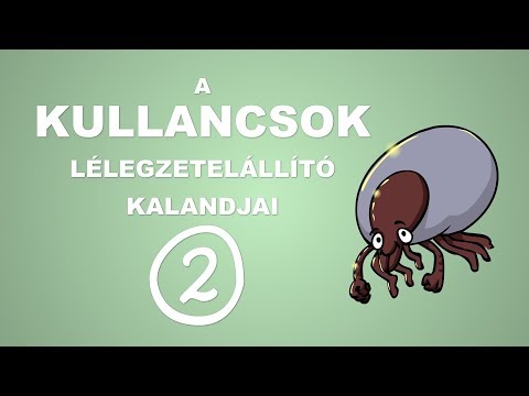 Milyen gyógyszereket inni a helmintákból