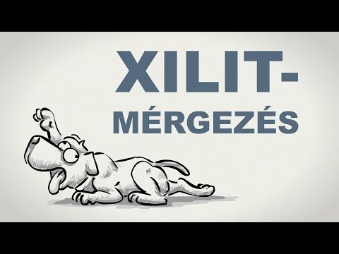 Érezze magát egy féregtabletta után A paraziták gyors és hatékony megsemmisítése