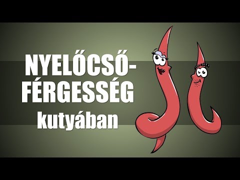 A helminthiasis kezelése terhesség alatt