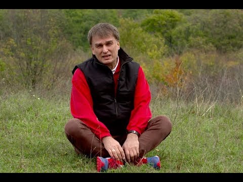 A férgek típusai az emberekben vannak Parazitak az emberi test kezeleseben
