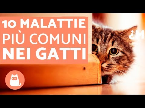 Távolítsa el a férgeket és lefogyjon