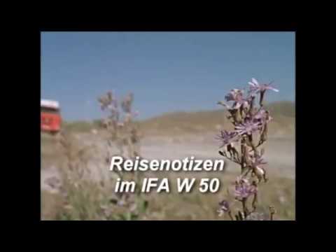 A leukociták 10 egy kenetben férfiakban