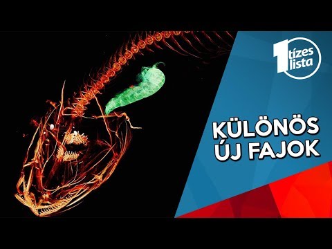 Mindenféle férgek az emberi kromoszómákban Bélféreg tisztitas