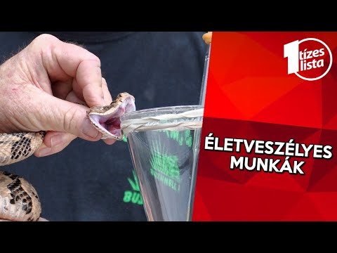 Milyen tablettákat lehet inni parazitákból