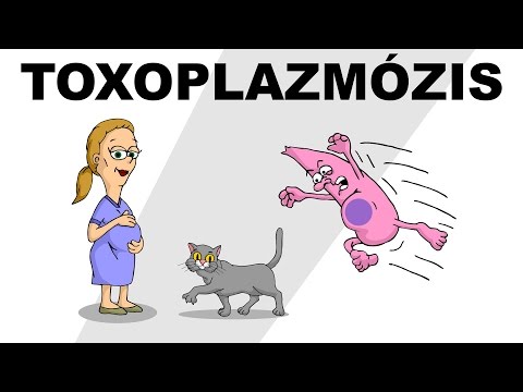 Férgek megelőzése gyermekeknél egész életéig Hol vannak a körférgek
