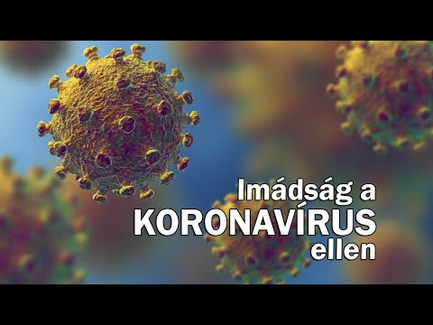 Paraziták típusú ételek Típusú emberi erőforrások férgek