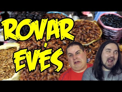 Helmint következmények