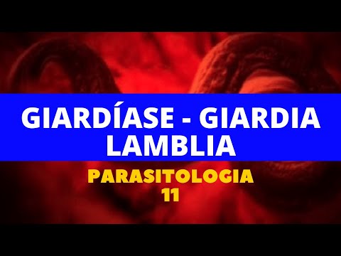Parazita 1 óra