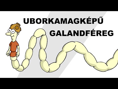 Paraziták gyógyszerekben