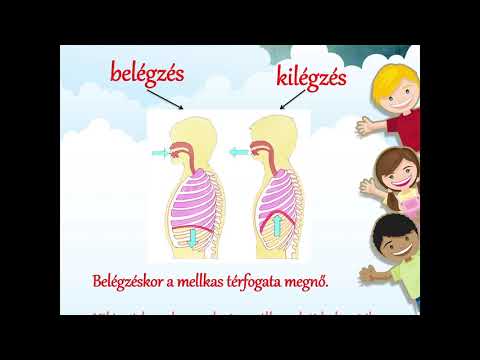 Rossz lehelet és rossz lehelet fórum