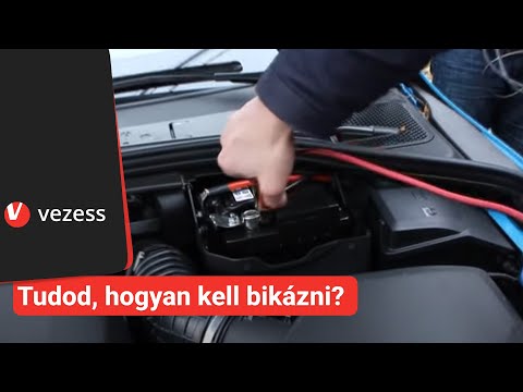 Férgek kezelése csecsemőknél legfeljebb egy évig Az emberi agyban található paraziták