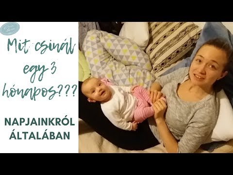 Gyurusférgek emesztese Mit tegyek cernagiliszta ellen