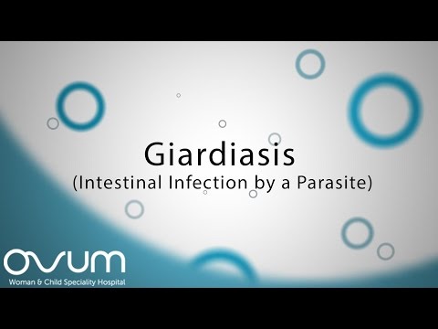 Giardiasis parazitológia