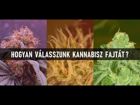 Széles spektrumú élősködő gyógyszerek áttekintése Kezelje a férgeket egy gyermekévig