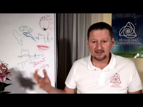 Aszcariasis rendszer
