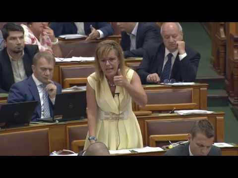 Olcsó és hatékony gyógyszerek férgek számára