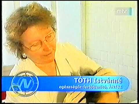 A malária plazmodium invazív formája