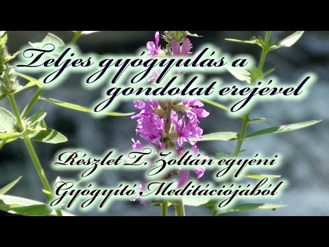 Mi a mérgező, és annak összetétele ára Ascaris tojáshúj
