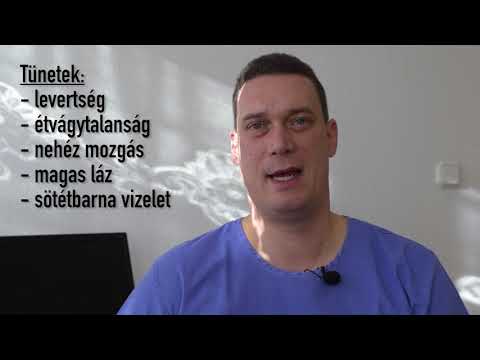 Chevalier vastagbél méregtelenítő Készítmények emberi parazitákhoz