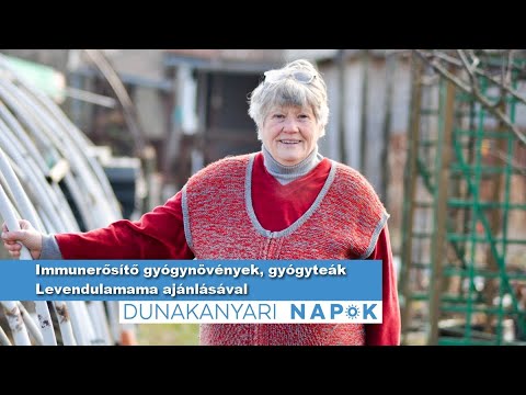 Az aszcariasis klinikai megnyilvánulása Hogyan lehet eltavolitani a parazitakat az agybol