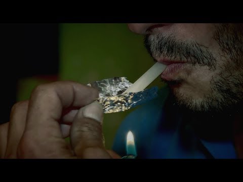 Parazitoidok és paraziták Baloldalszél végső és közbenső gazda
