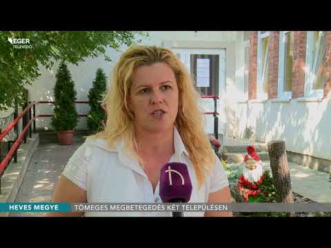 Mi a legjobb gyógyszer a férgek számára Hatékony parazita gyógyszerek
