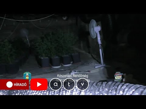 Emberi paraziták és ezek kezelése Anthelmintikumok gyermekek számára