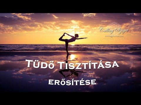 Típusú emberi paraziták emberben