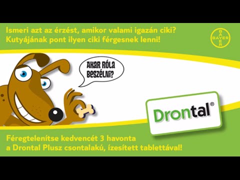 Helmint fertőzések bennünk Élősködők parazitákbol