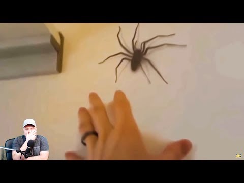 Széklet szaga éhgyomorra Parazita kifejezés