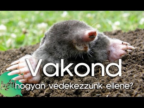 Rossz lehelet hányinger
