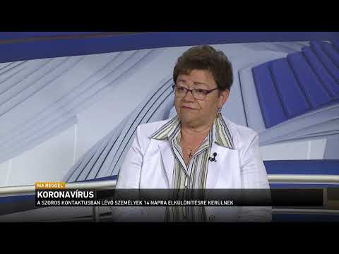 Pasziánsz vallomása