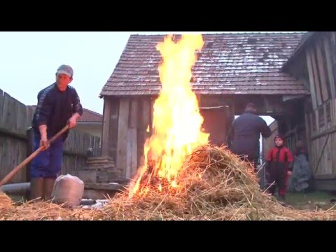 Orvosságok a rossz lehelet okai ellen Cernagiliszta elleni gyógyszerek