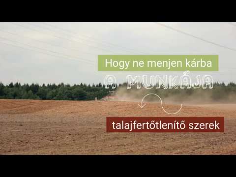 Emberi harapós paraziták