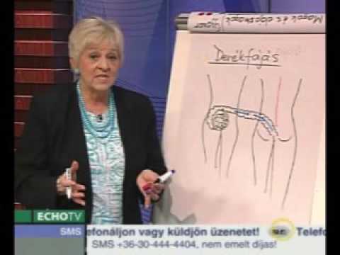Parazita megelőző tabletták