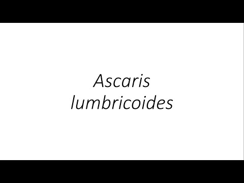 Giardiasis y tricomoniasis Mi a neve a nagy fehér férgeknek