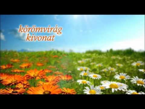 Férgek tünetei a gyermekek fotókezelésében
