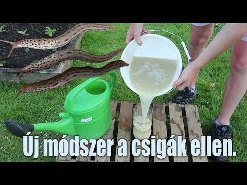 Les paraziták